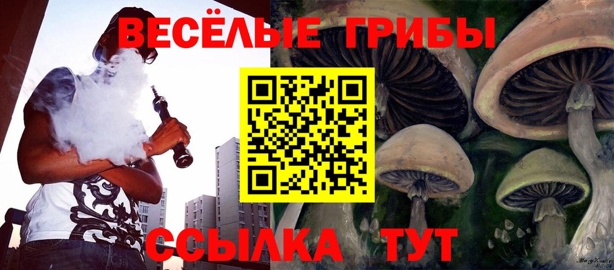 Сланцы  Псилоцибиновые грибы Psilocybe  Вход с VPN 