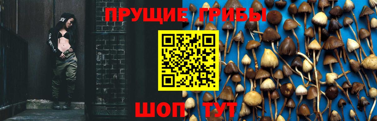 Галлюциногенные грибы мицелий Сланцы